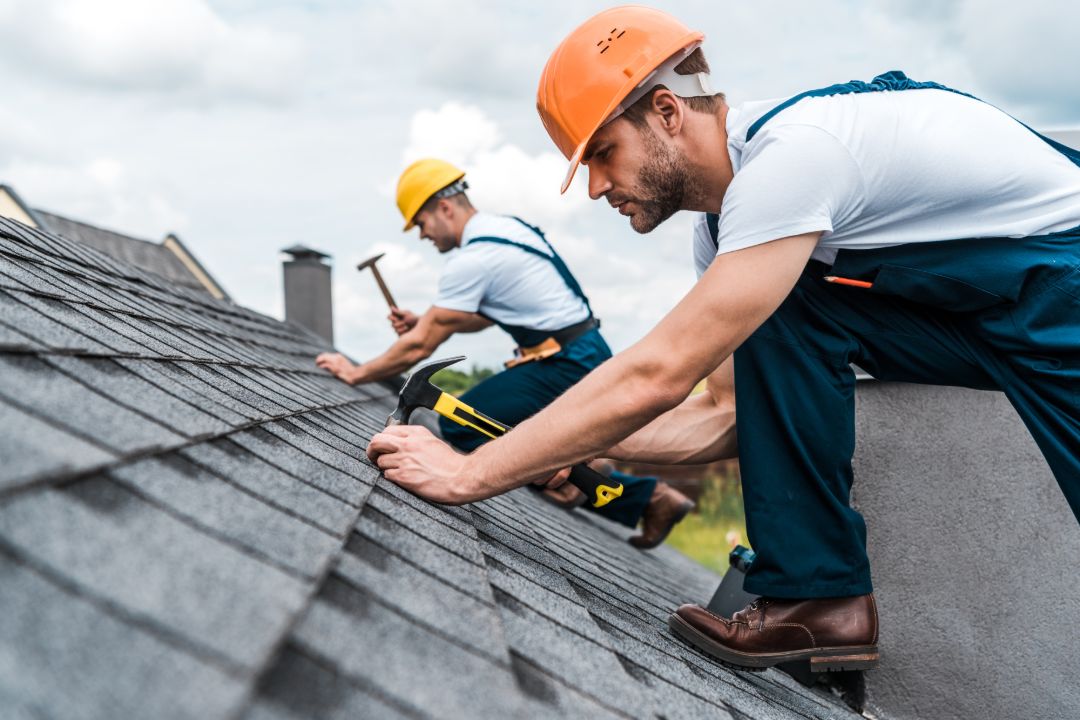 Roof Cleaning